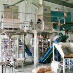 Müşteri fabrikamızda iki adet Darı otomatik paketleme makinesi komple kurulum ve hata ayıklama