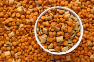 Evcil Hayvan Ürünleri