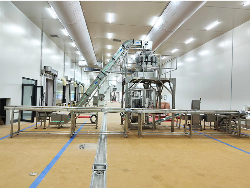 otomatik paketleme makinesi forzen food