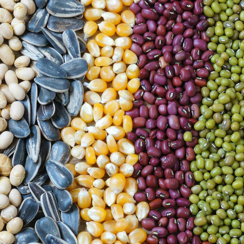 Otomatik tohum paketleme makinesi